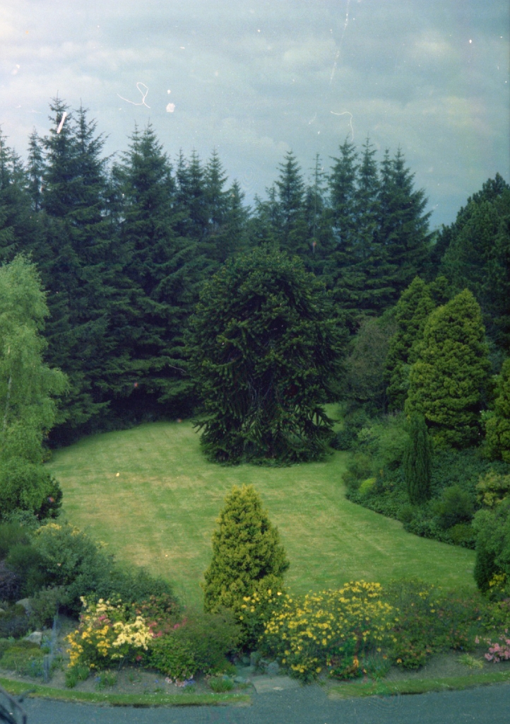 19790000-1982 SLALEY HALL 03.jpg